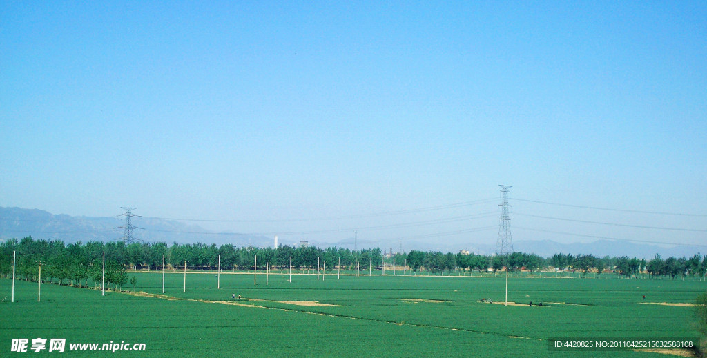 田野远眺