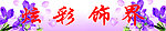 炫彩饰界