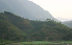梯田