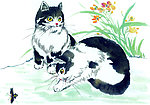 国画猫咪戏蝶