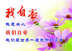 妇联图板