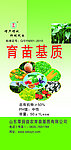 育苗基质 蔬菜