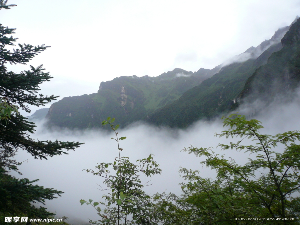 风景