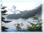 山水挂画