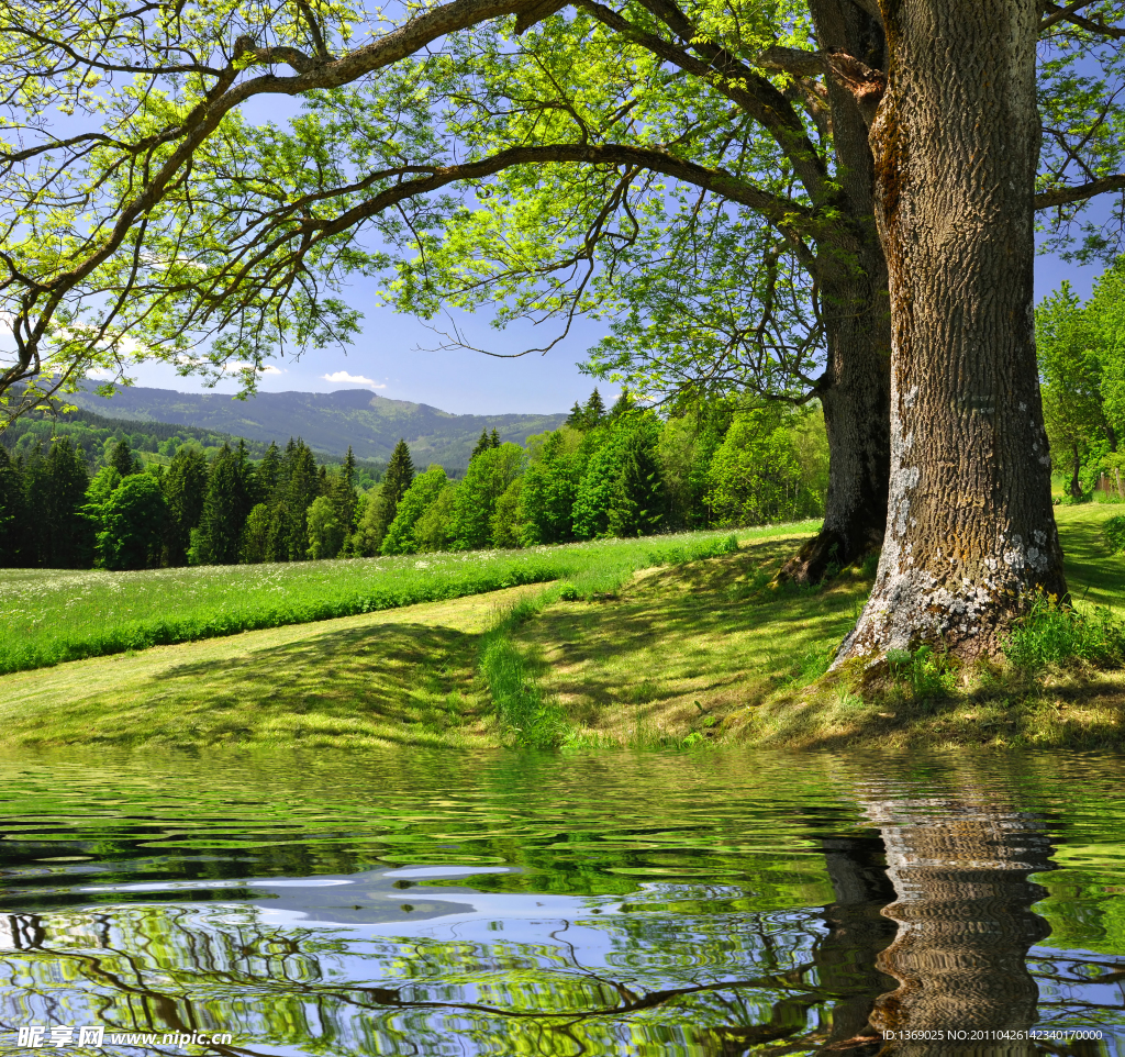 河边风景