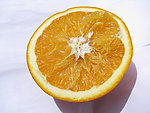 橙子