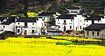 婺源风景