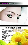 美容美体SPA