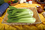 油菜