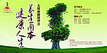 一棵大树