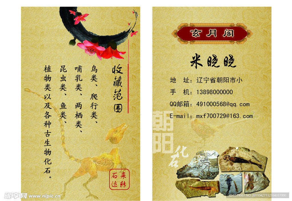化石名片