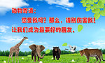 动物寄语