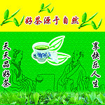 品茶