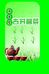 古井茗茶