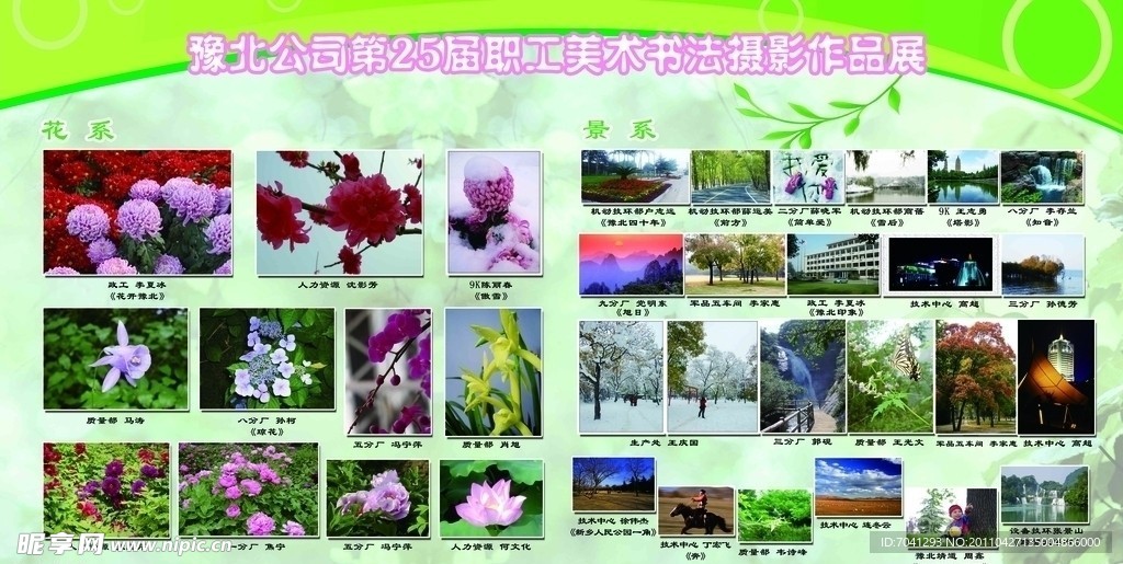 摄影绿色展板