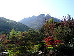 泰山