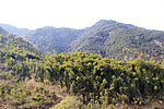 连绵青山