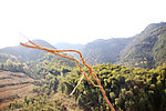 连绵青山