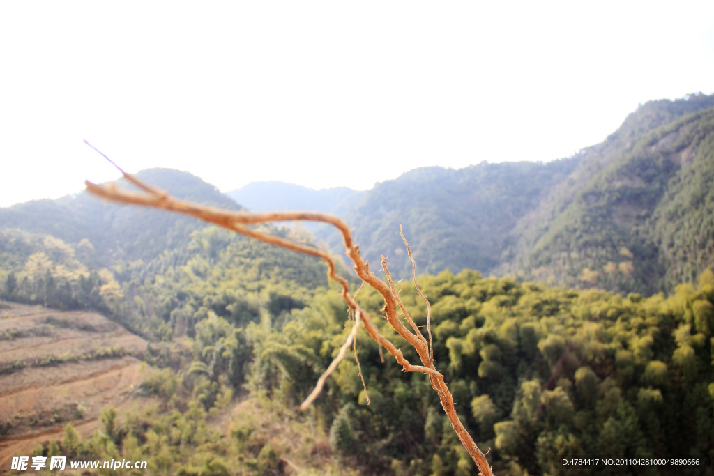 连绵青山