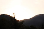 连绵青山日出