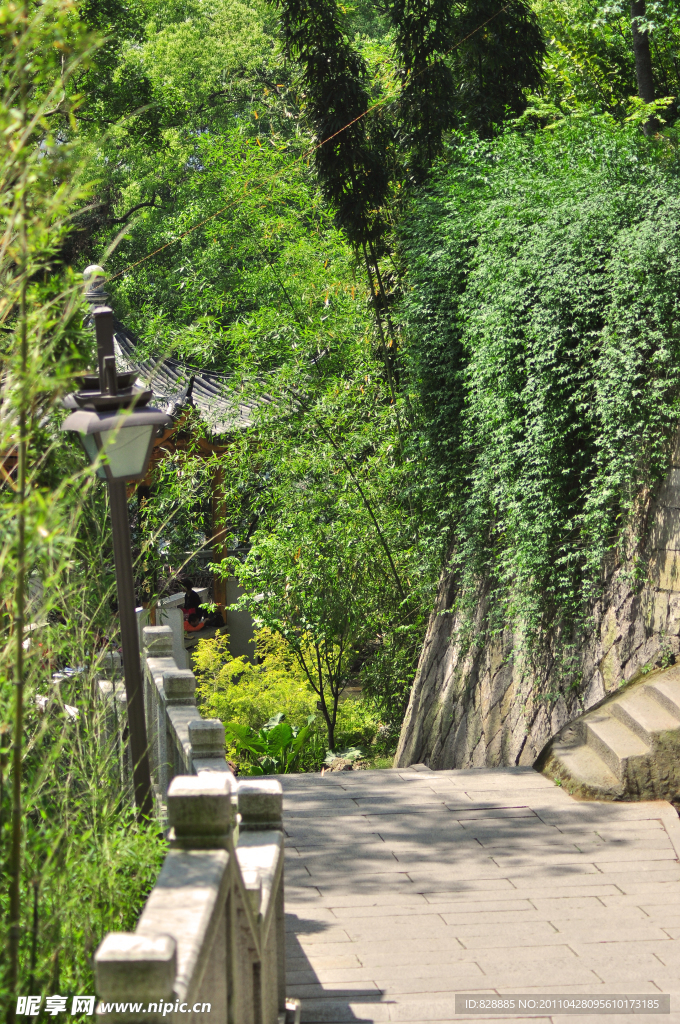 乌山风景