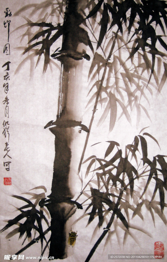 竞竹