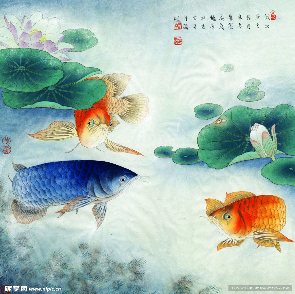 莲年有余