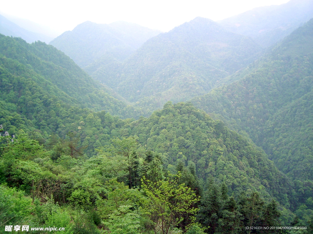 薄雾青山