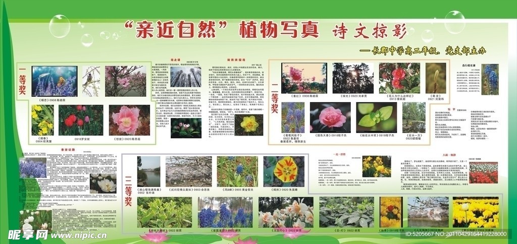 亲近自然 植物写真