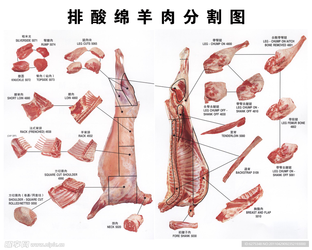 排酸绵羊分割图