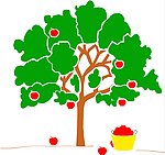 苹果树
