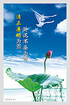 廉政文化建设
