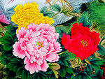 牡丹芳菲