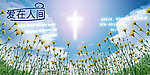 2011母亲节背景