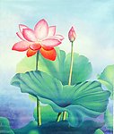 叶国球原创油画《荷花》