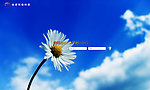 Windows 7风格登陆