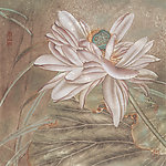 国画工笔花鸟