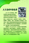 科学展板