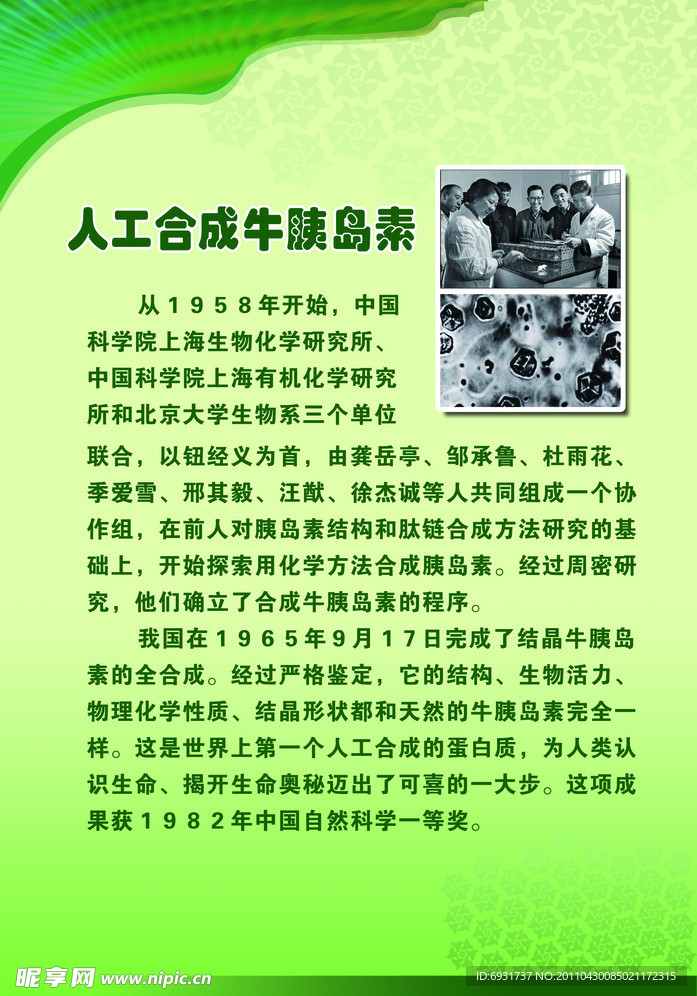 科学展板