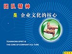 团队精神是企业文化的核心