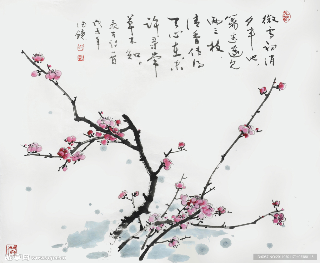 邱德镜红梅