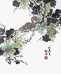 邱德镜 葡萄 松鼠