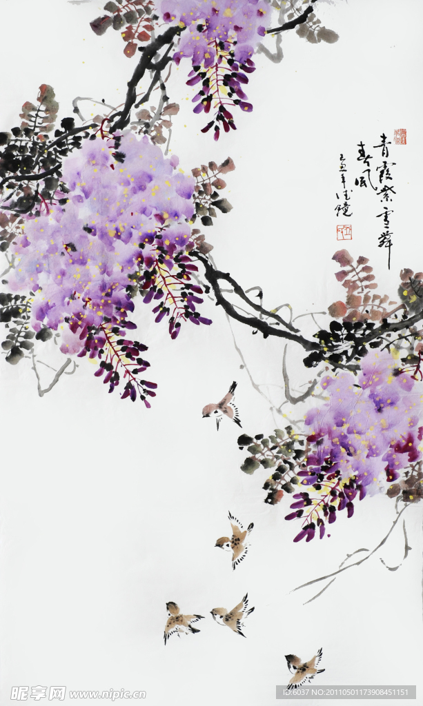 邱德镜 紫藤 鸟