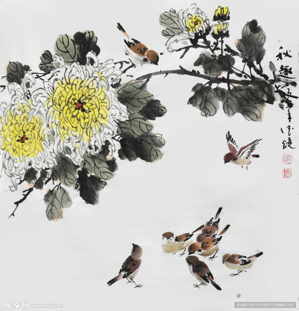 邱德镜 菊花