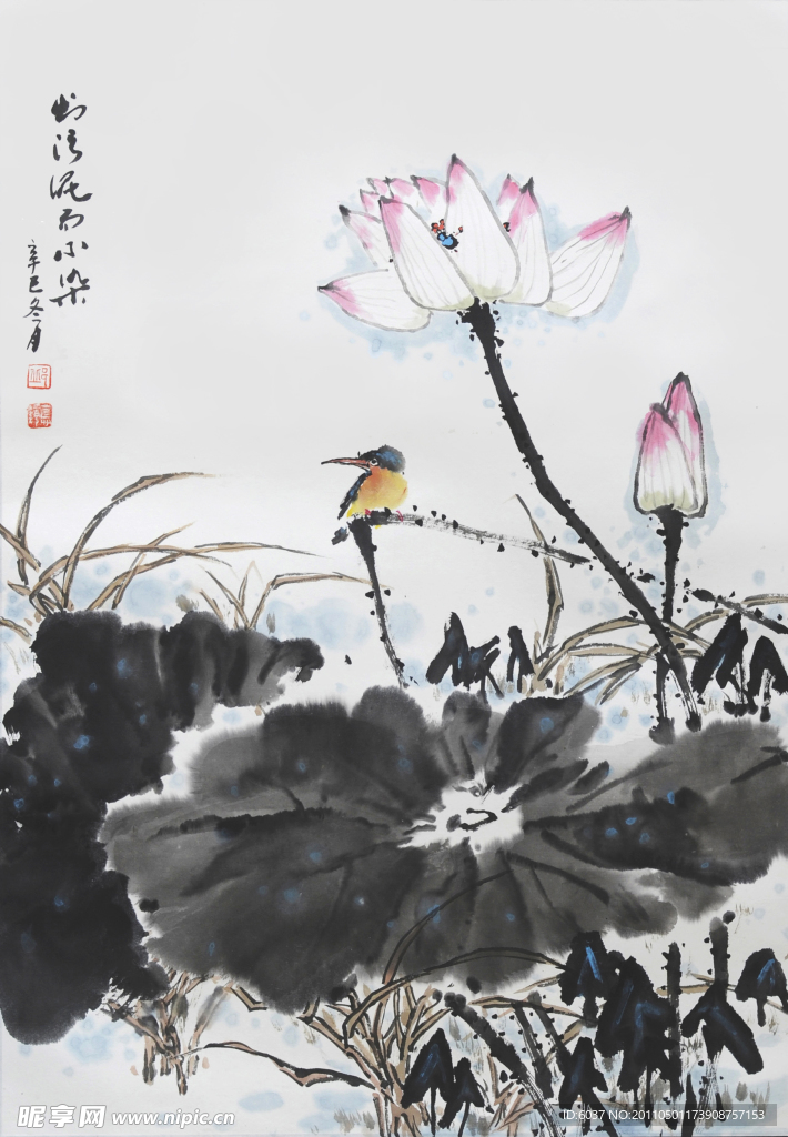 邱德镜 荷花