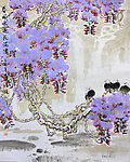 紫藤 鸟 邱德镜