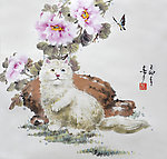 邱德镜 猫