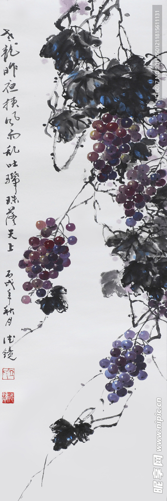 葡萄 邱德镜