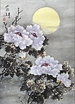 牡丹夜色