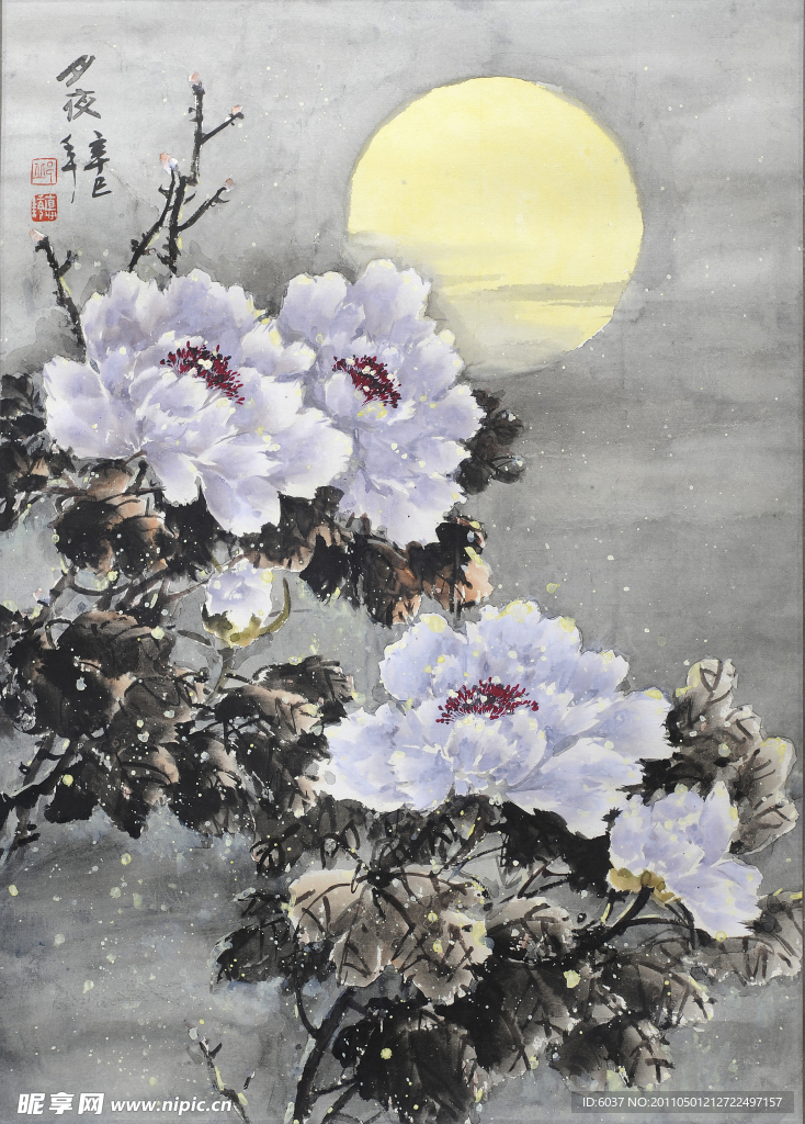 牡丹夜色